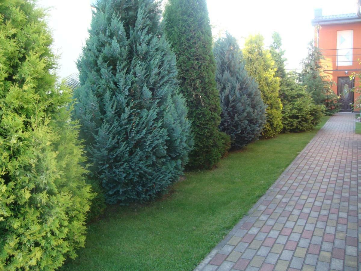 Zelta Pirts Guest House Windawa Zewnętrze zdjęcie